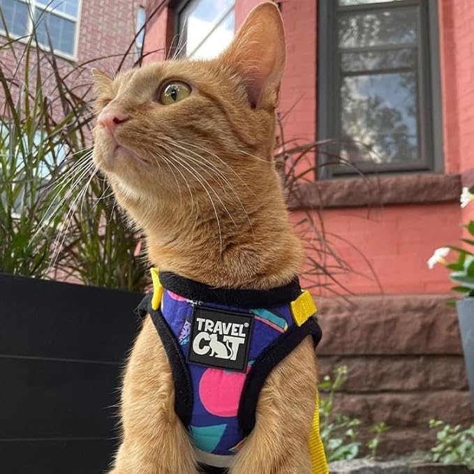 Travel Cat Harness and Leash Set - Image 2