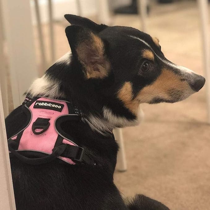 rabbitgoo Dog Harness No Pull - Image 8