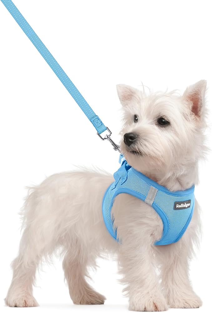 rabbitgoo Dog Harness Small Sized and Leash Set, Step in Soft Light Puppy Vest by rabbitgoo