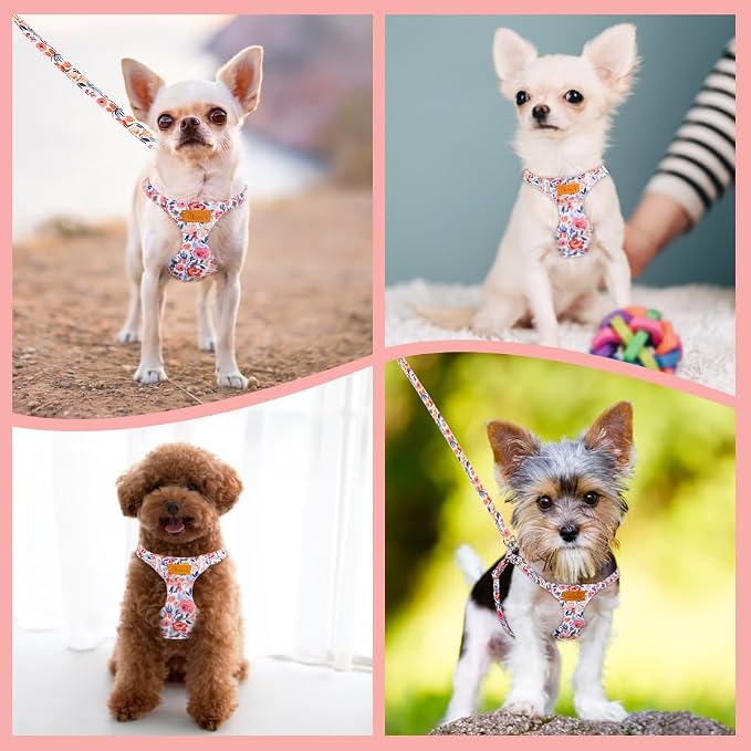 SlowTon No Pull Dog Harness - Image 7