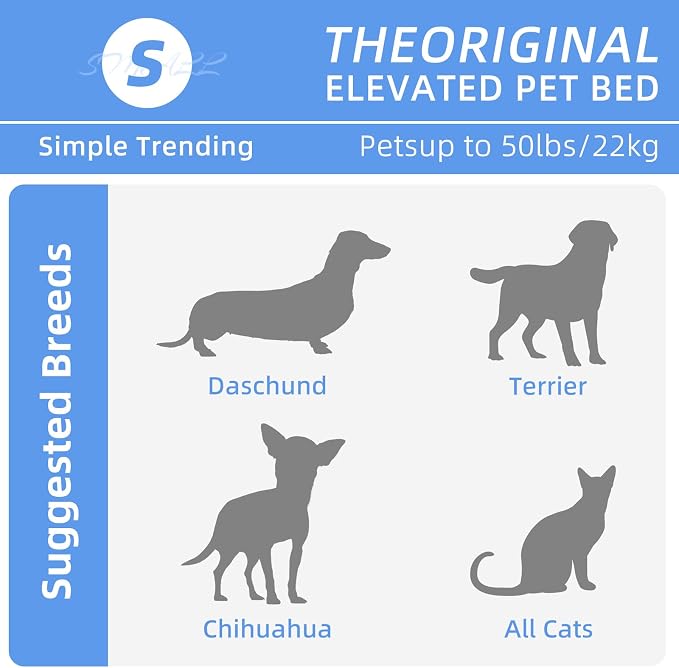 Simple Trending Raised Dog Bed for Small Dogs, Waterproof Elevated Dog Cot - Image 2
