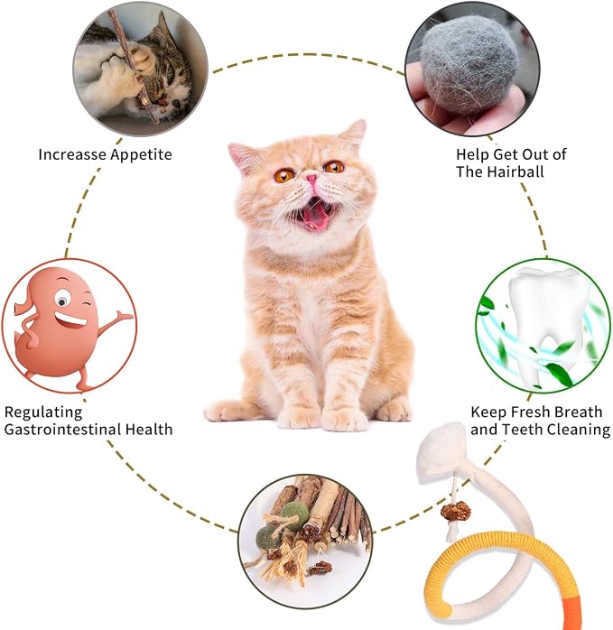 Kyouki Cat Toys Cat Chew Toys, Kitten Dental Care, Kitty - Image 4