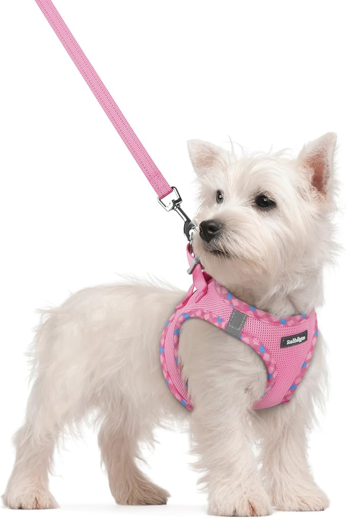 rabbitgoo Dog Harness Small Sized and Leash Set, Step in Soft Light Puppy Vest by rabbitgoo
