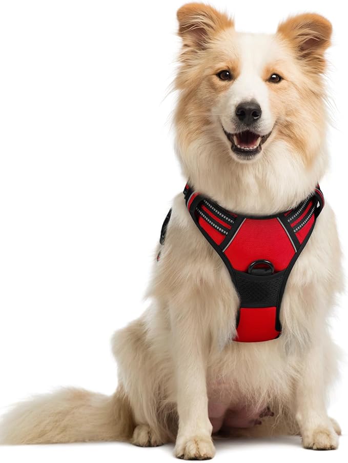 rabbitgoo Dog Harness No Pull by rabbitgoo