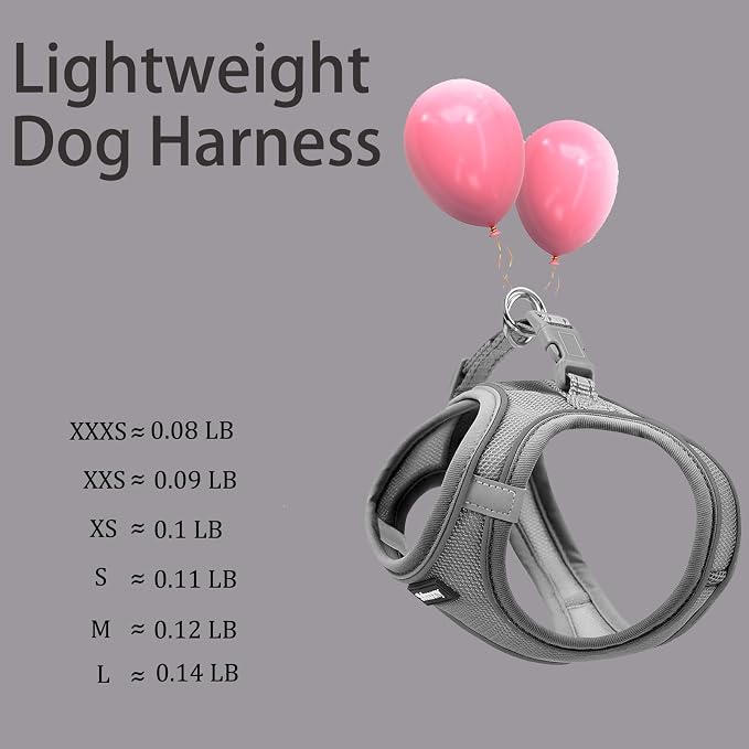Solmoony Sparkly XXXS Dog Harness and Leash Set, Step in Soft Light Puppy Vest - Image 5