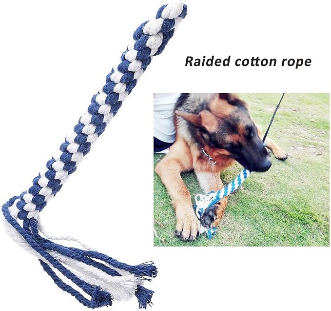 Flirt Pole for Dogs, Interactive Teaser Wand - Image 5