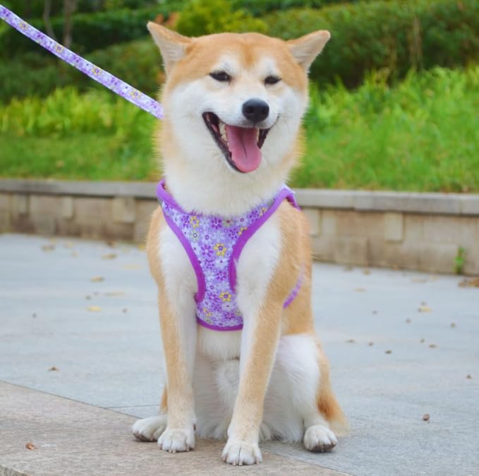Moonpet Step in Dog Harness Leash Set- All Weather Reflective No-Pull Floral - Image 4