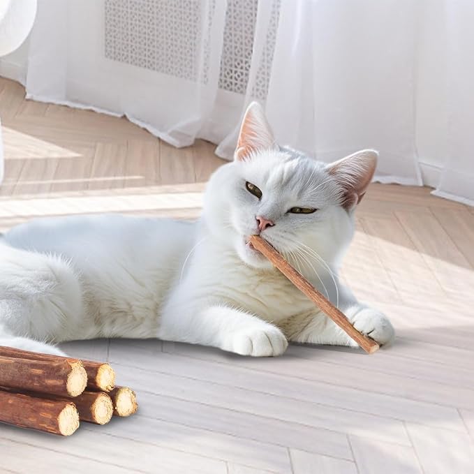 Kyouki Cat Toys Cat Chew Toys, Kitten Dental Care, Kitty - Image 7