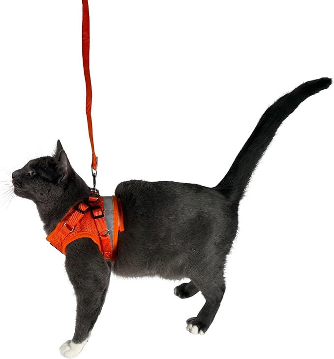 Travel Cat Harness and Leash Set - Image 8