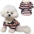 MANON ROSA Dog Clothes, Designer Boy Polo Shirt by MANONROSAPET