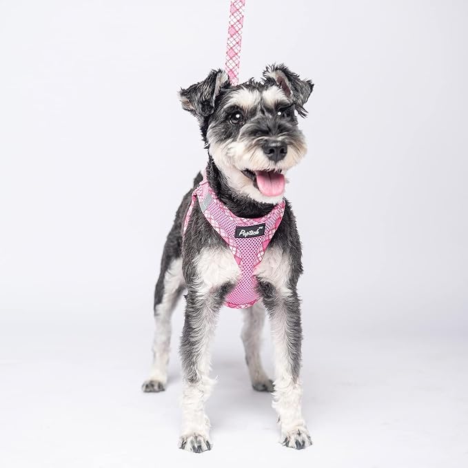 PUPTECK Dog Harness and Leash Set - Image 6