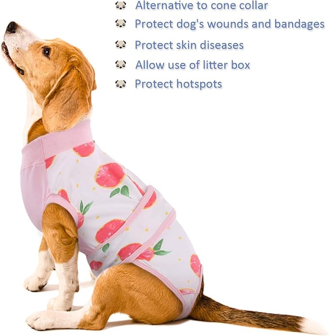Kuoser Dog Recovery Suit Female, Dog Onesie - Image 7