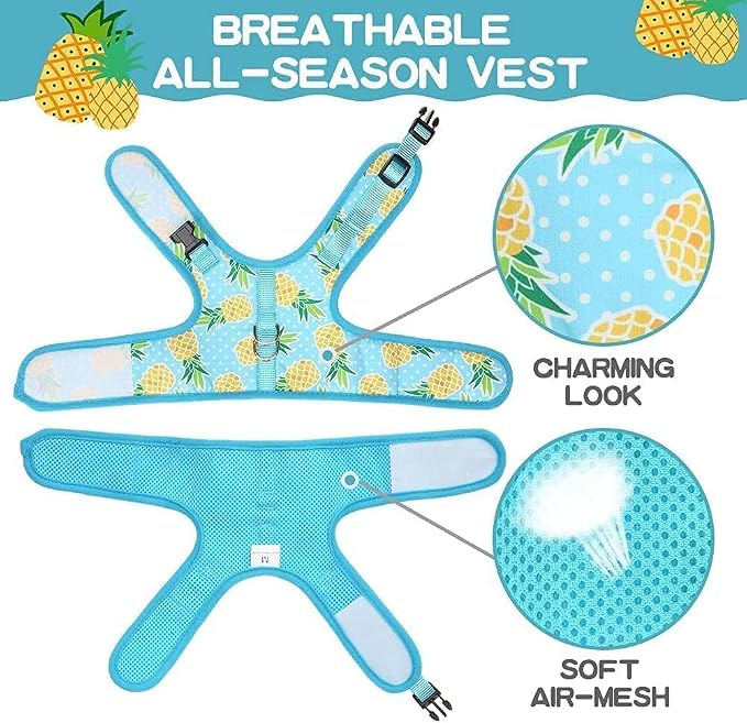 BINGPET Cat Harness - Image 3