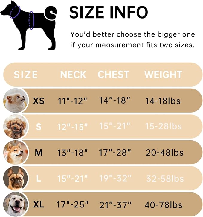 IVY&LANE No Pull Dog Harness - Image 2