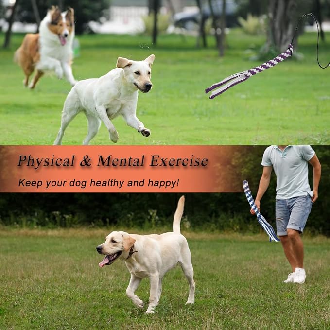 Flirt Pole for Dogs, Interactive Dog Toys for Dog Chase and Tug of War - Image 7