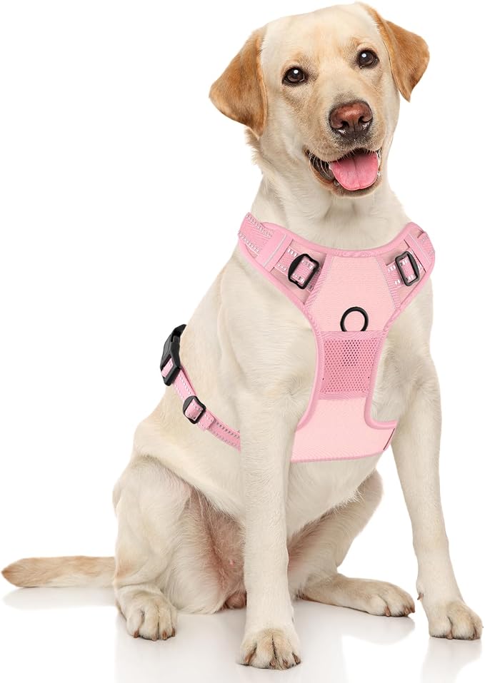 Rnivvi No Pull Dog Harness, Cute Reflective Large Sized Puppy Harness, - Image 2