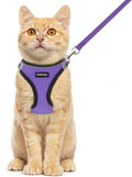 Rttochfy Cat Harness and Leash Set, Escape Proof Kitten Harness, Soft and by Rttochfy