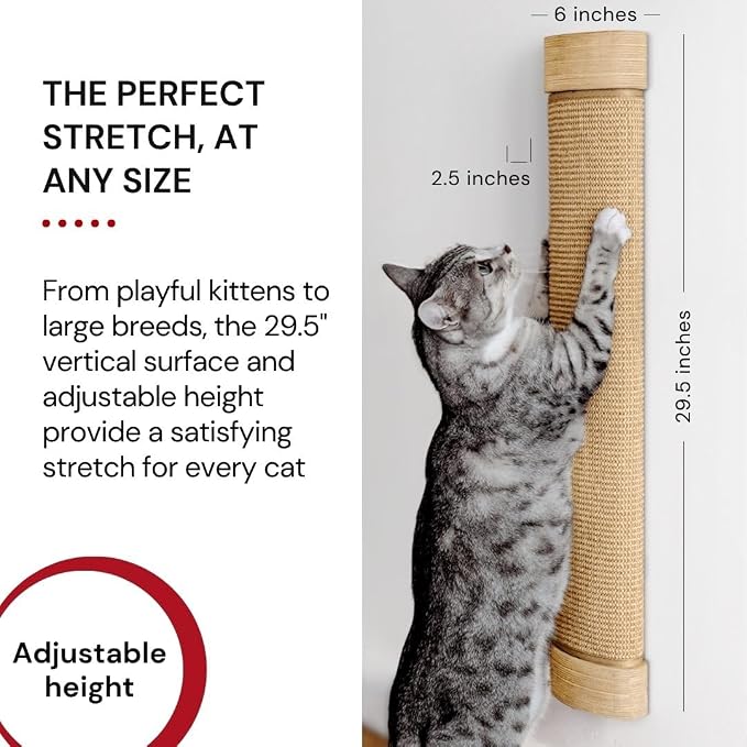 7 Ruby Road Large Cat Scratcher Wall Mounted - Image 4