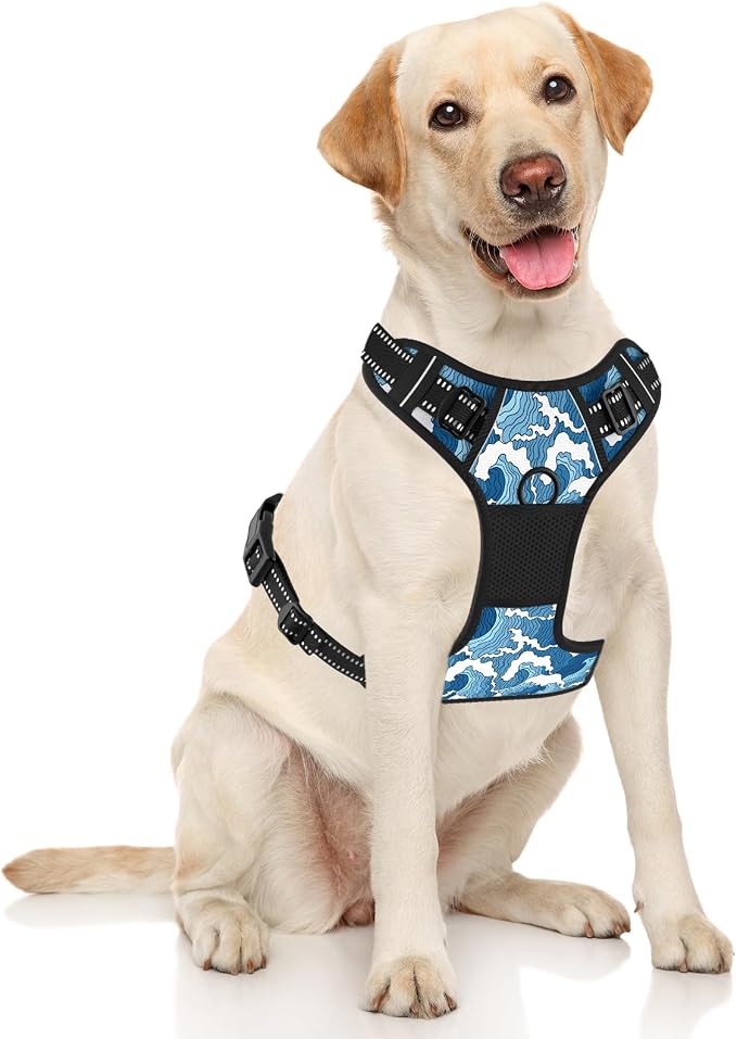 Rnivvi No Pull Dog Harness, Cute Reflective Large Sized Puppy Harness, - Image 2