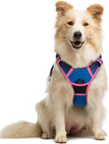 rabbitgoo Dog Harness No Pull by rabbitgoo