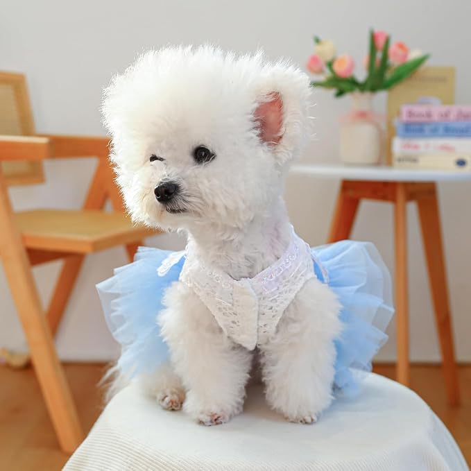 Fashion Sweet Puppy Dog Blingbling Princess Skirt Pet Dog Lace Cake Camisole - Image 5