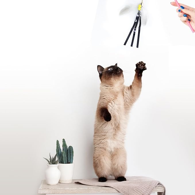 Cat Insect Feather Toys Replacement Cat Toy Wand Refills, 6 Pieces Natural - Image 6