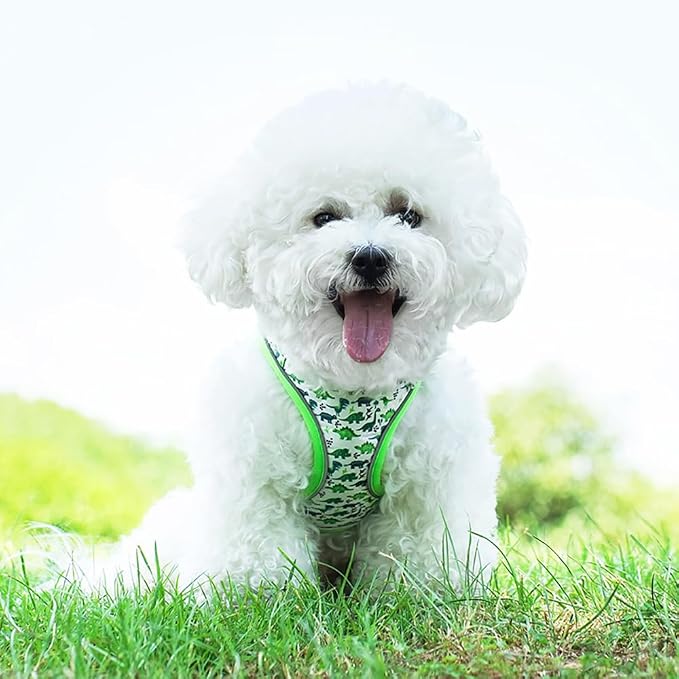 Step in Dog Harness and Leash Set, Flower Adjustable Easy Walk Puppy Harnesses - Image 6