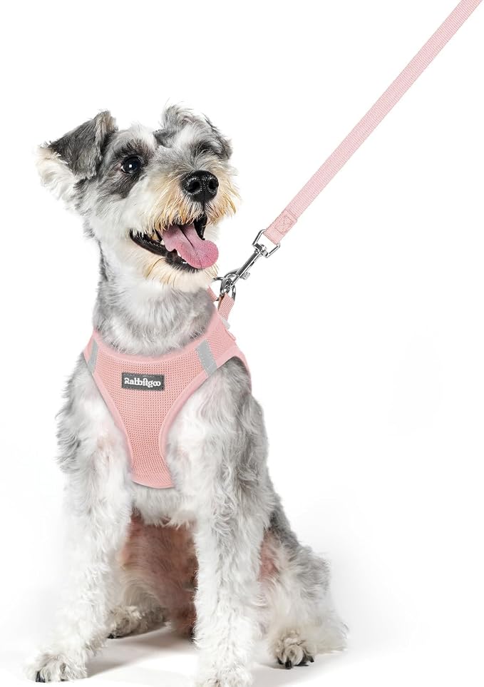 rabbitgoo Dog Harness Small Sized and Leash Set, Step in Soft Light Puppy Vest by rabbitgoo