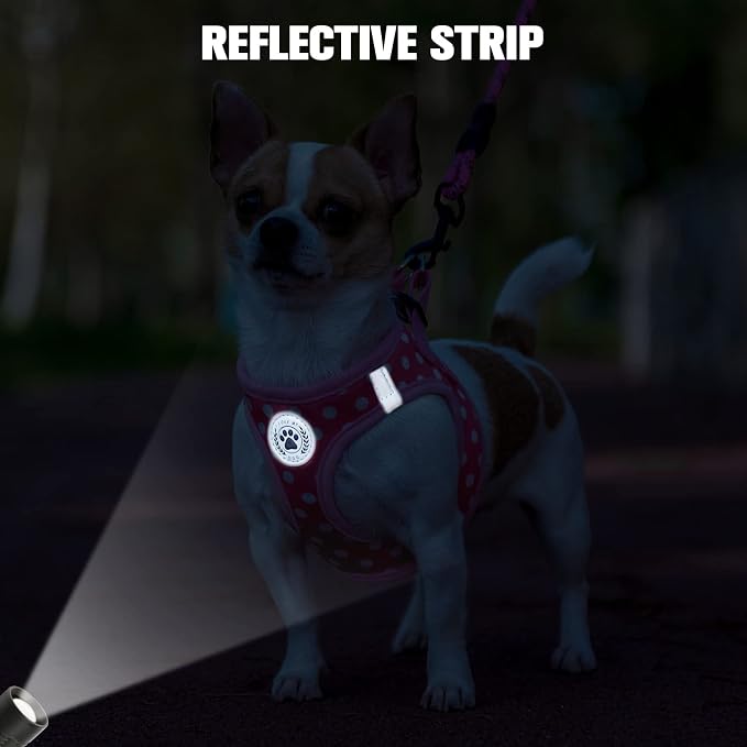 BEAUTYZOO Step in Dog Harness and Leash Set, Polka Dot Pattern Reflective Dog - Image 7