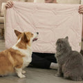 Pet Cooling Mat, Soft Breathable, Portable & Durable Pet Mat by DORMORA
