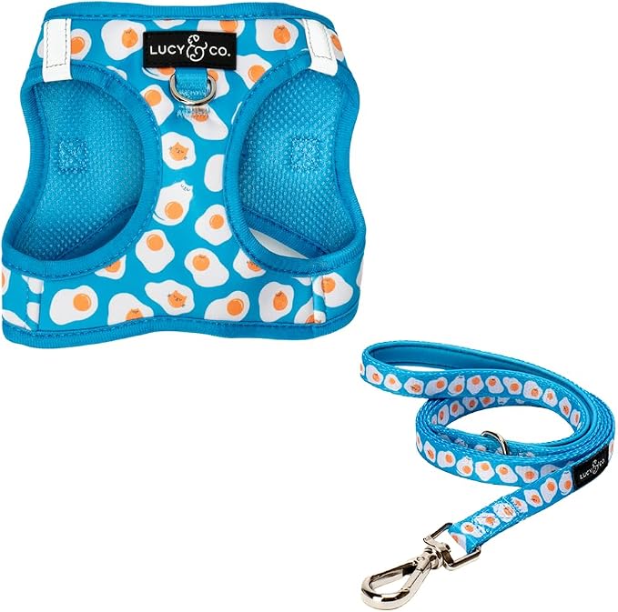 Lucy & Co. Eggcelent Step-in Cat Harness & Leash Bundle – Reflective, by LucyCo