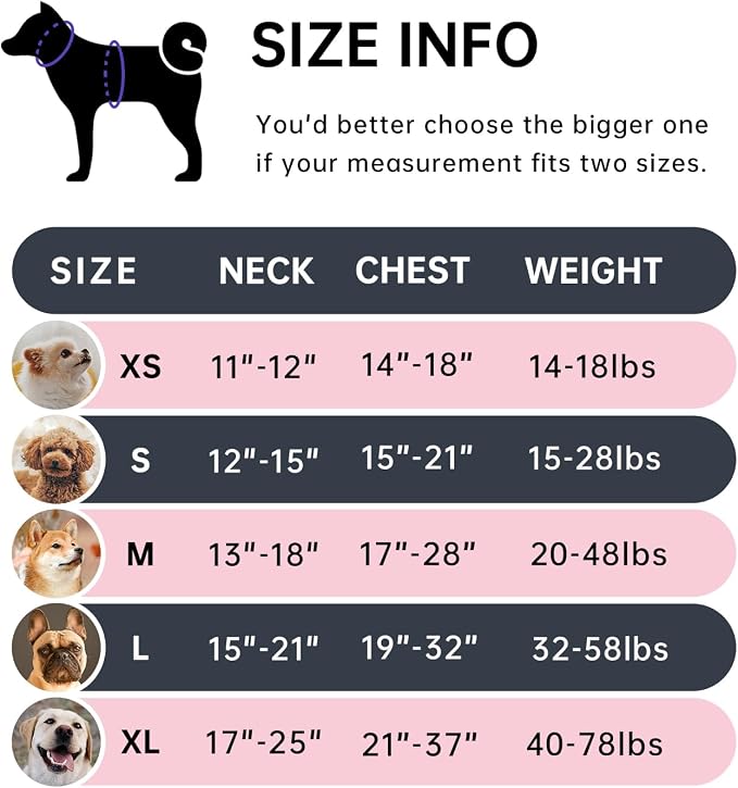 IVY&LANE No Pull Dog Harness for Small Dogs, Dog Vest Harness - Image 2
