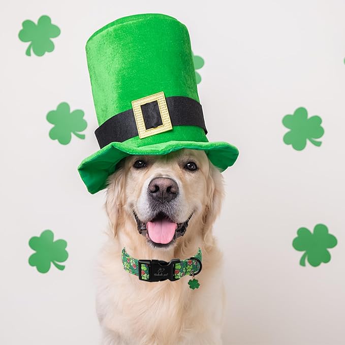 St Patricks Day Dog Collar for Giant Large Dogs - Image 4