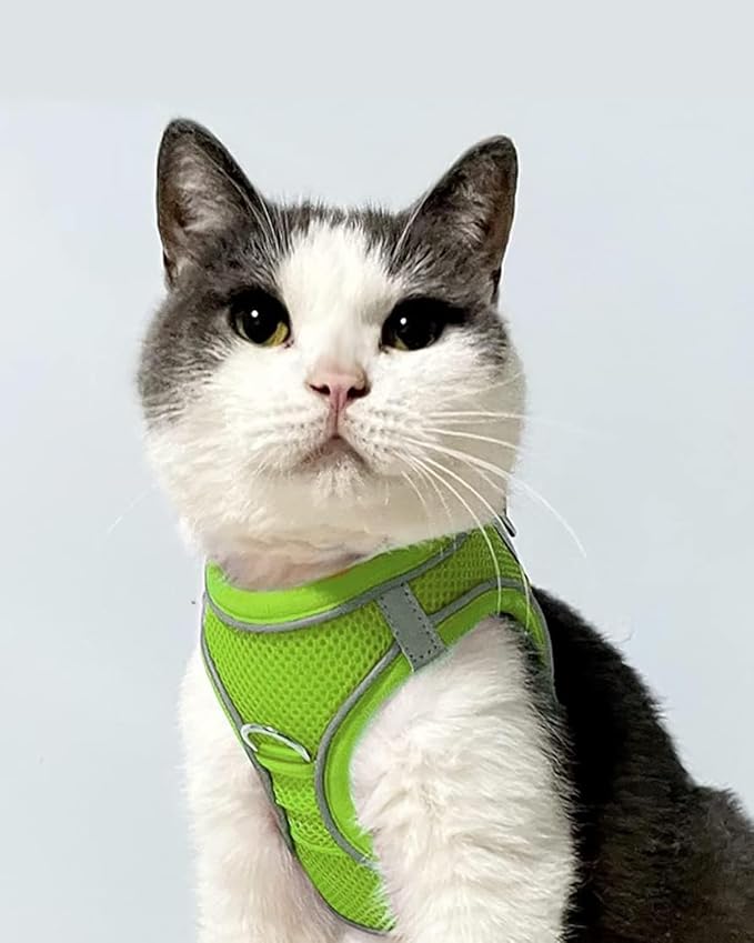 Joytale Small Dog Harness, Breathable Mesh Step-in Vest, Reflective Soft Padded - Image 2