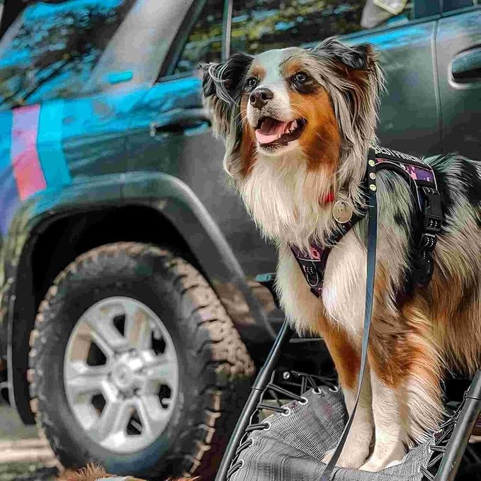 AUROTH Tactical Dog Harness for Small Medium Large Dogs No Pull Adjustable Pet - Image 6