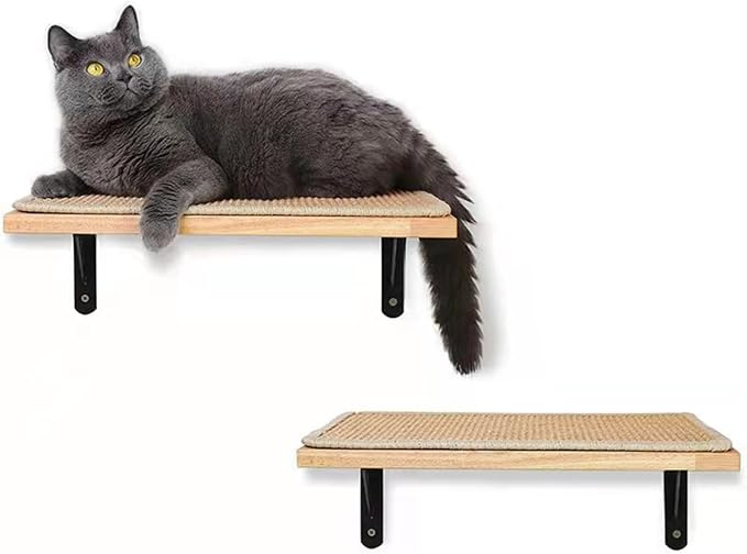 2 Pieces Cat Hammock Wall Mounted Floating Wall Shelf by 3MNSCD