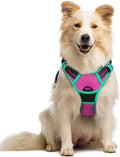 rabbitgoo Dog Harness No Pull by rabbitgoo