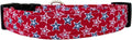The Liberty Patriotic Stars Dog Collar) by Collars+by+Design