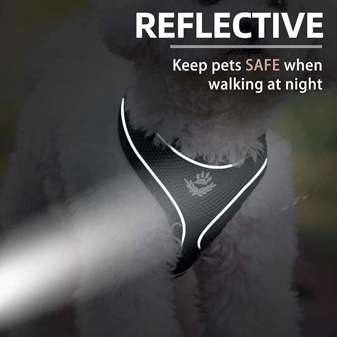 PUPTECK Soft Mesh Dog Harness and Leash Set Pet Puppy Cat Comfort Padded Vest - Image 4