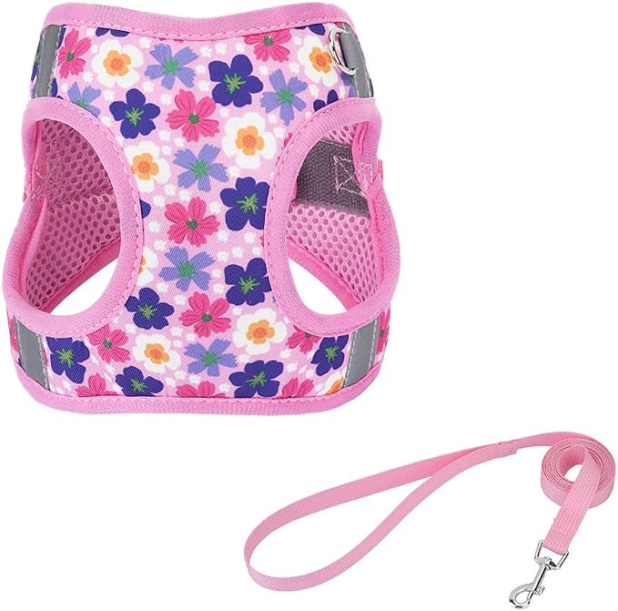 Step in Dog Harness and Leash Set, Flower Adjustable Easy Walk Puppy Harnesses by Flymind