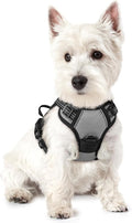 rabbitgoo Dog Harness No Pull by rabbitgoo