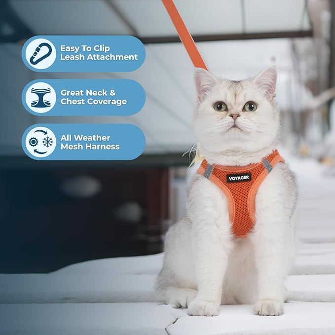 Voyager Step-in Pet Harness - Image 5