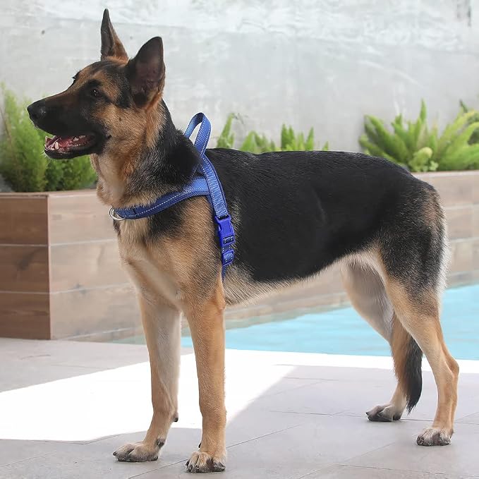 Plutus Pet No Pull Dog Harness - Image 5