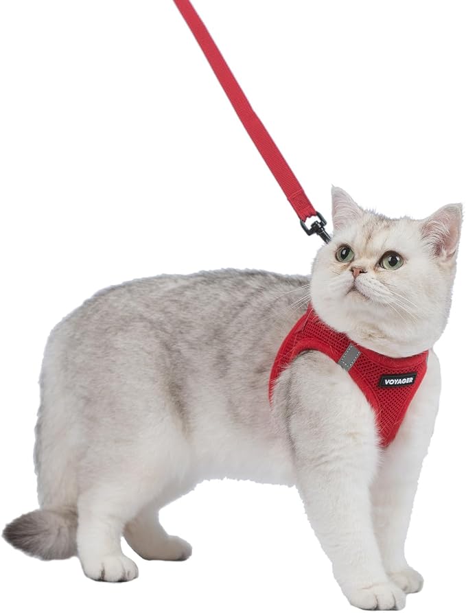 Voyager Step-in Pet Harness - Image 2