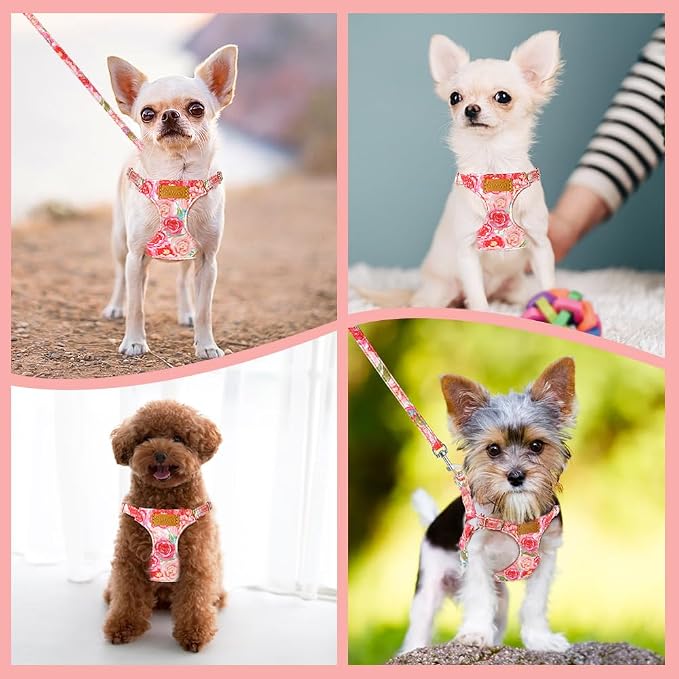 SlowTon Dog Harness Small Sized Dog - Image 7