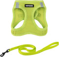 Voyager Step-in Pet Harness by BestPetSuppliesLLC