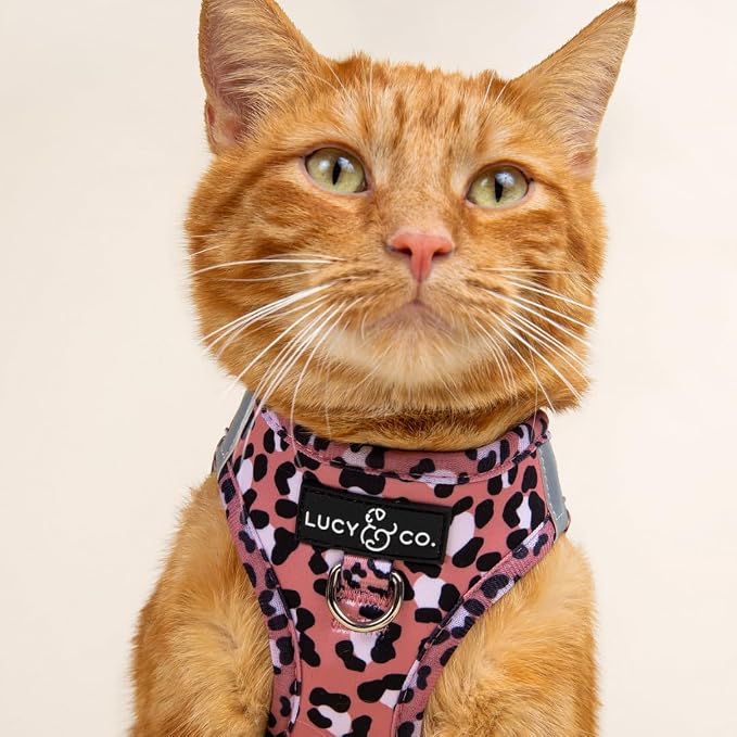 Lucy & Co. Wild Side Step-in Cat Harness & Leash Bundle – Reflective, - Image 6