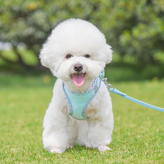 LightBlue No Pull Adjustable Reflective Pet Harness and Leash Set - Image 3