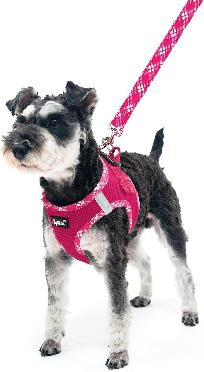 PUPTECK Dog Harness and Leash Set - Image 6
