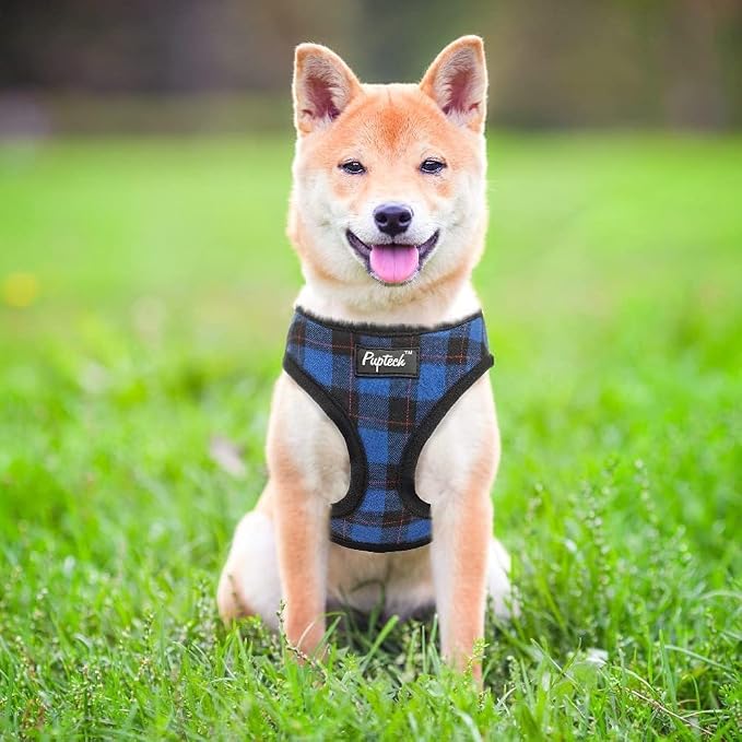 PUPTECK Soft Mesh Dog Harness and Leash Set Pet Puppy Cat Comfort Padded Vest - Image 7